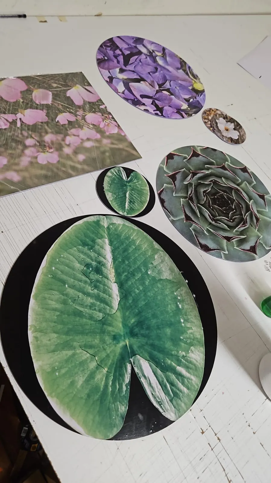 Discos y óvalos rígidos impresos con fotos de hojas y flores, cortados a forma en el router CNC